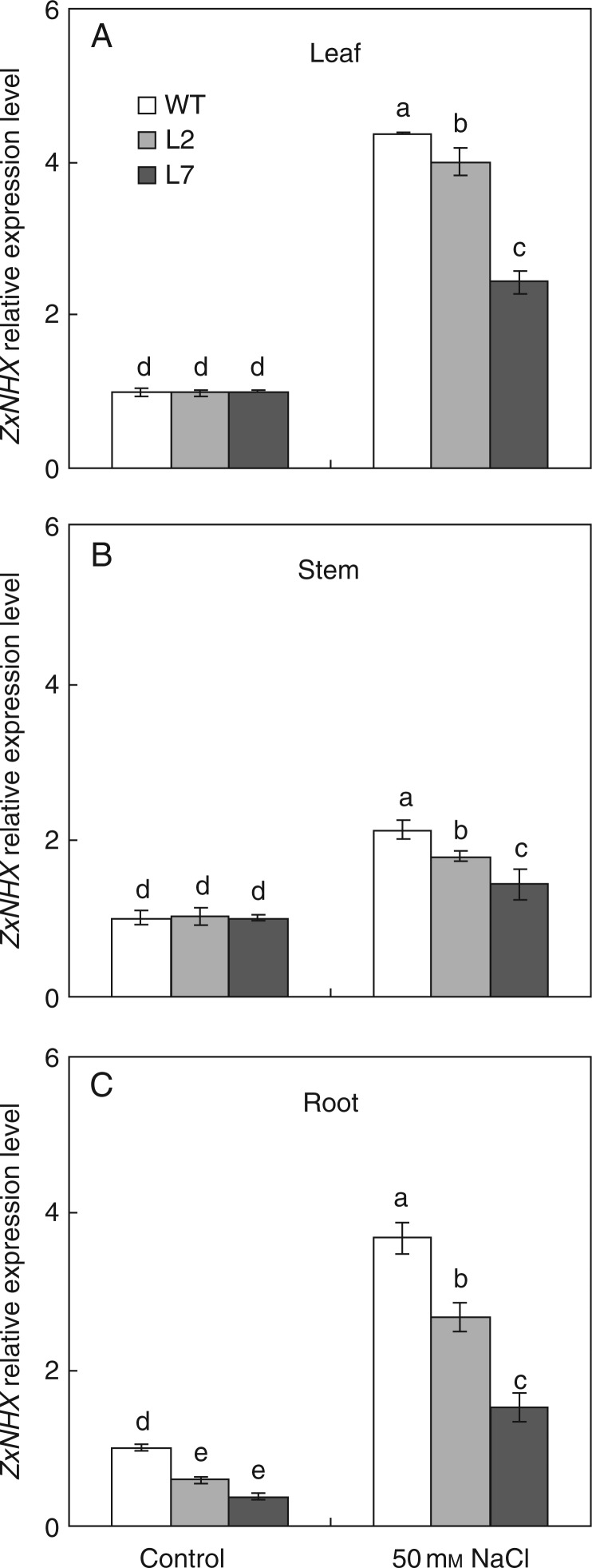 Fig. 1.