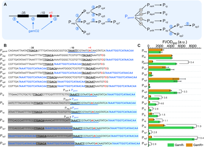 Figure 2.