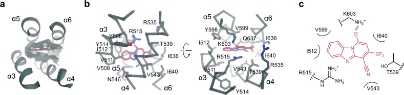 Fig. 4