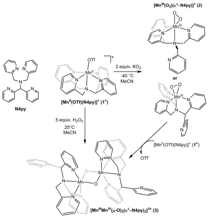 Scheme 1