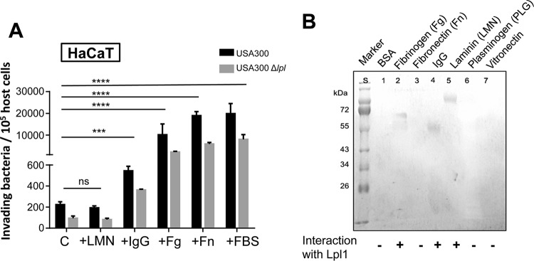 FIG 2