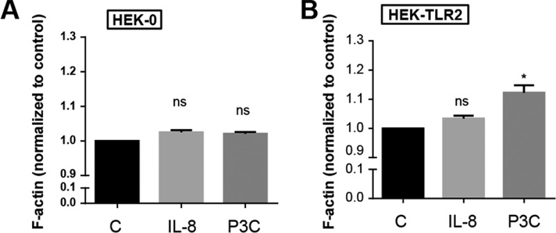 FIG 5