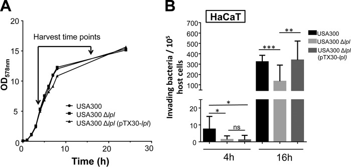 FIG 1