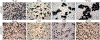 Figure 12.
