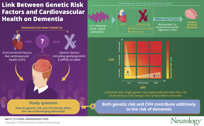 graphic file with name NEUROLOGY2019017608FFU1.jpg