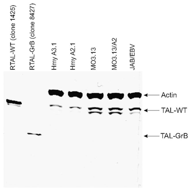 FIGURE 3