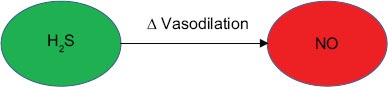 graphic file with name IJPharm-47-243-g002.jpg