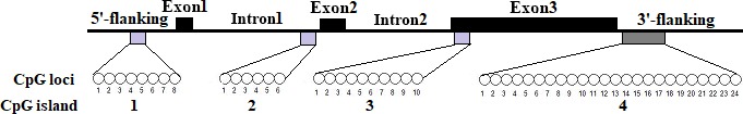 Figure 1