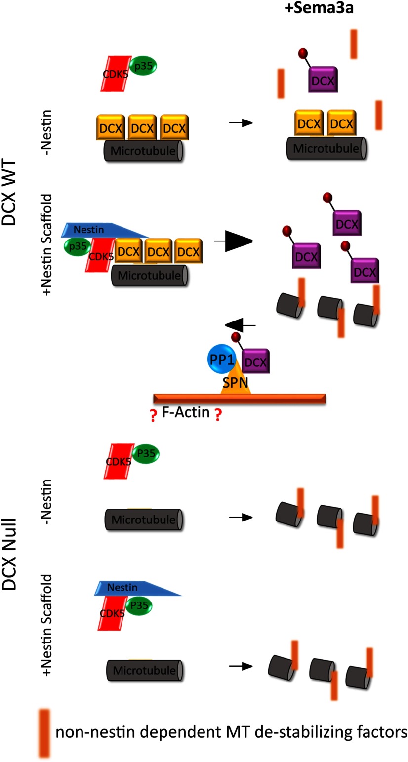 Figure 11.