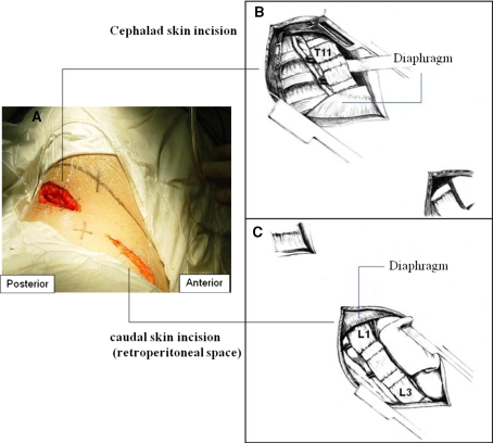 Fig. 2