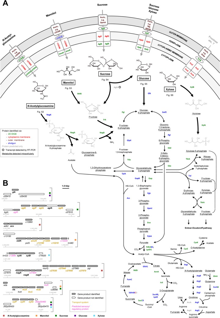 FIG 1