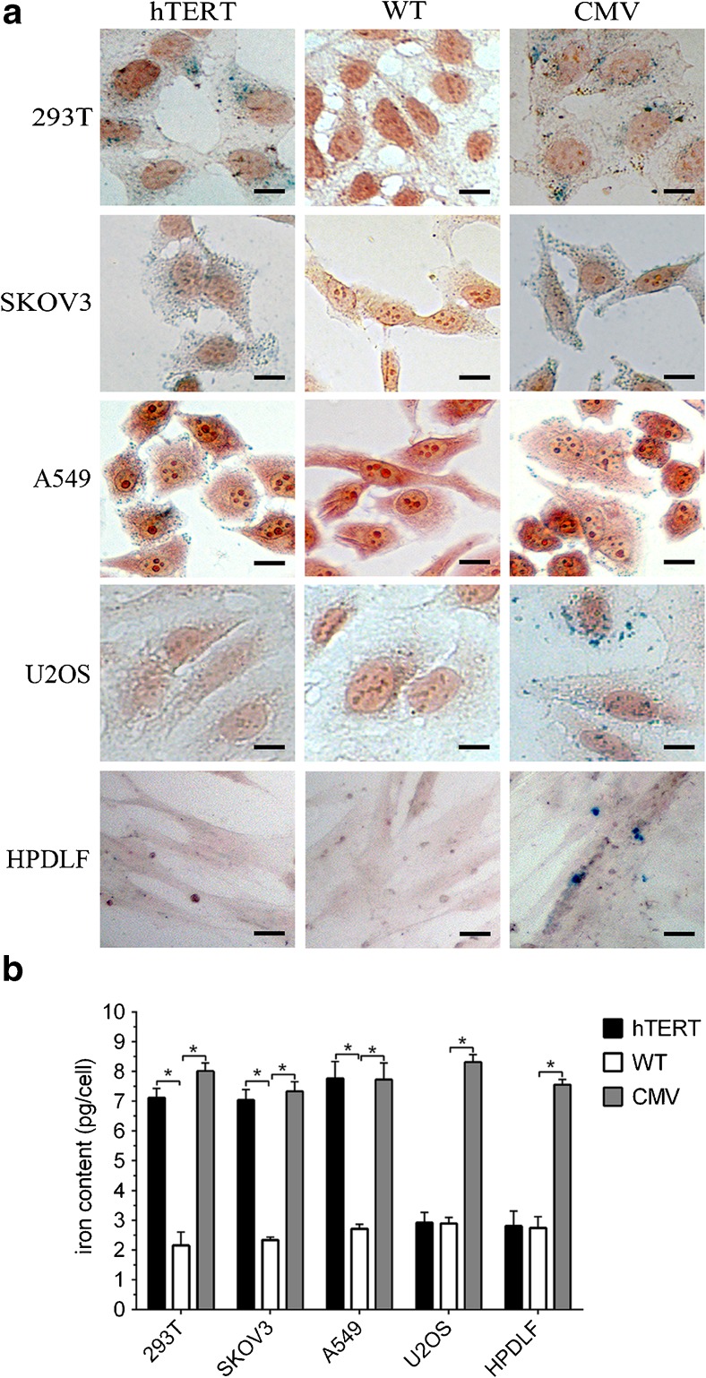 Fig. 3