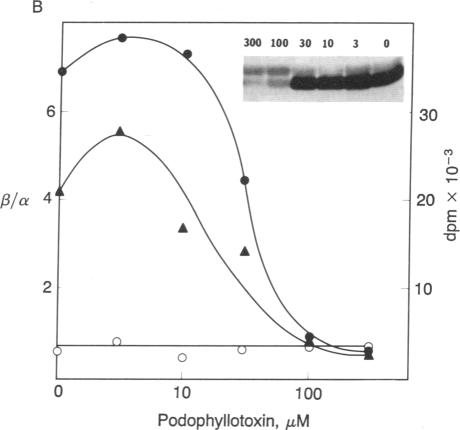 graphic file with name pnas01057-0220-a.jpg