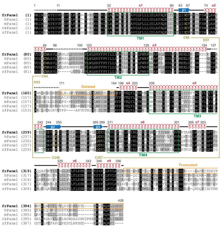 Figure 1—figure supplement 1.