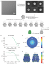 Figure 1—figure supplement 3.