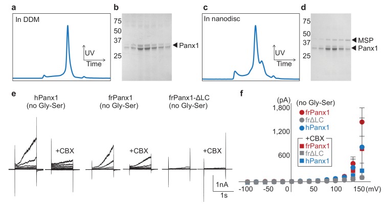 Figure 1—figure supplement 2.