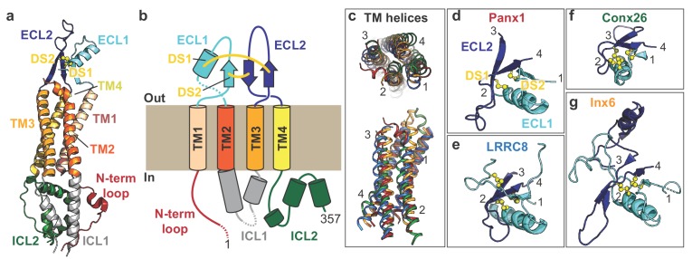 Figure 2.