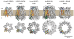 Figure 2—figure supplement 1.