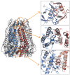 Figure 2—figure supplement 3.