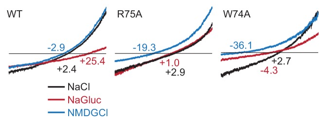 Figure 3—figure supplement 1.