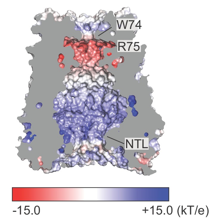 Figure 3—figure supplement 2.