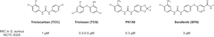 FIG 1