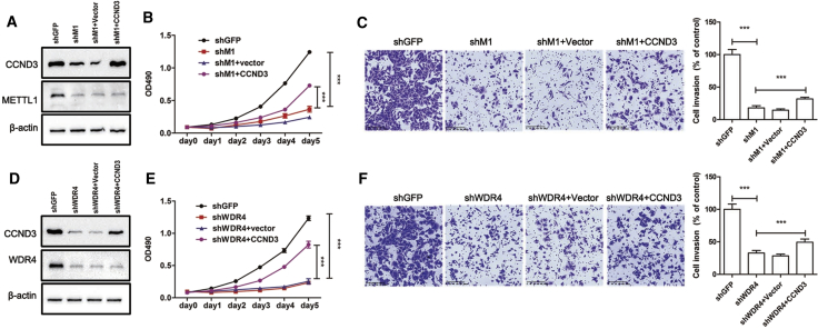 Figure 7