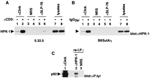 FIG. 6