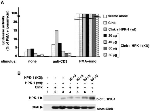 FIG. 8