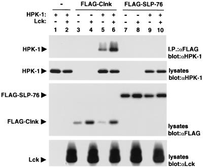 FIG. 5