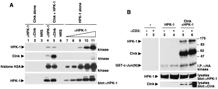 FIG. 9