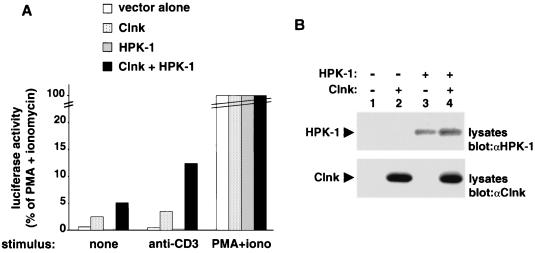 FIG. 7