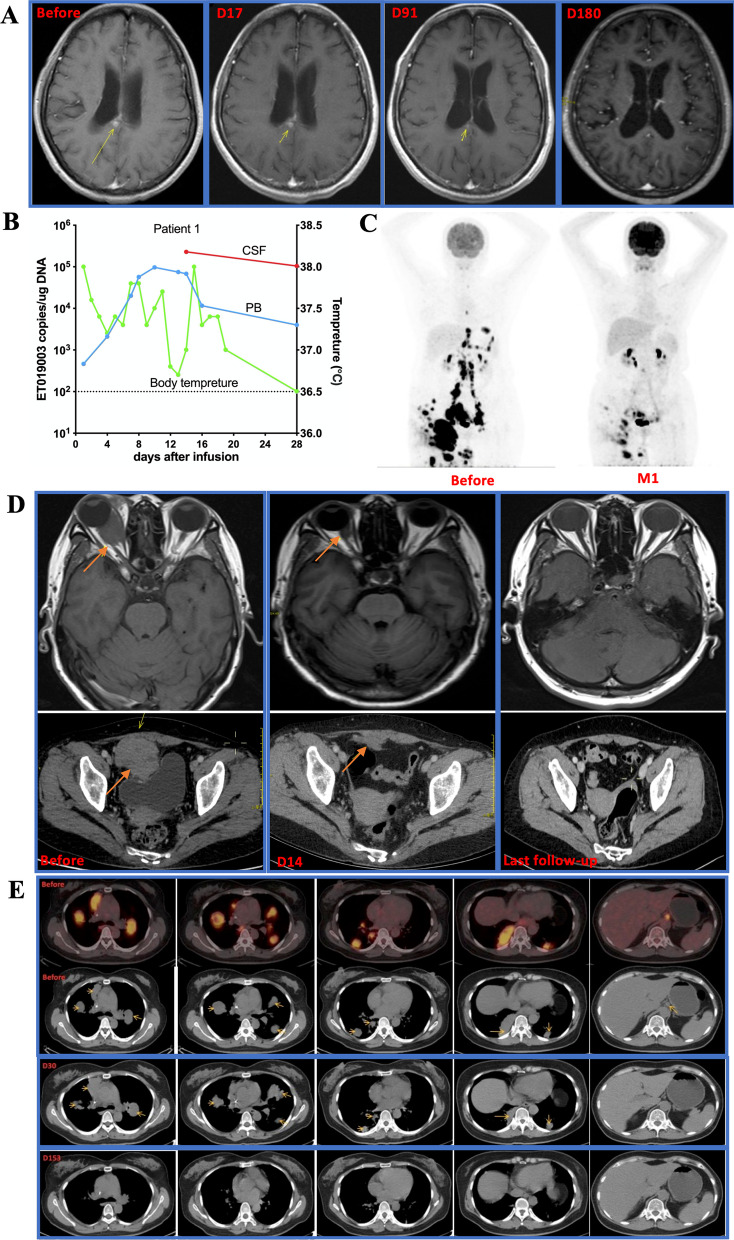 Fig. 4