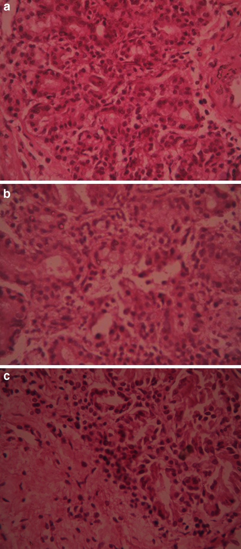 Fig. 3