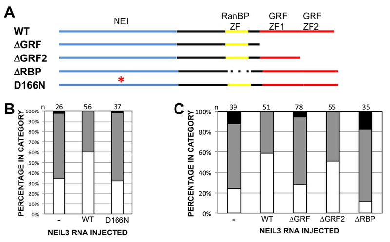 Figure 7 –