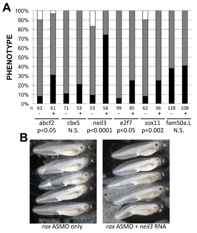 Figure 3 –