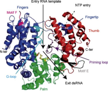 Figure 10.1