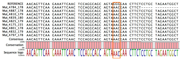 Figure 4