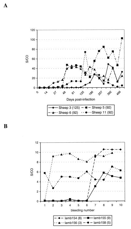 FIG. 5