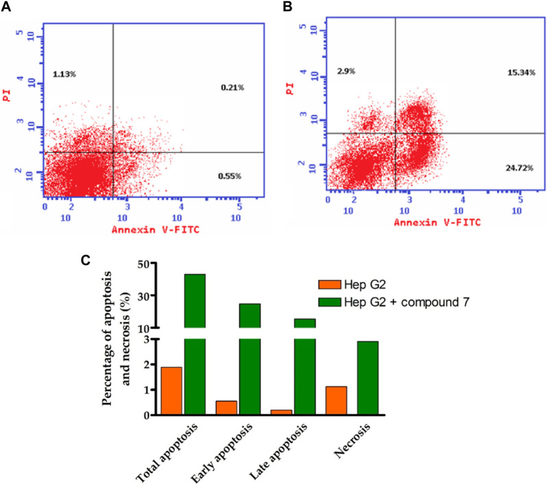 FIGURE 6