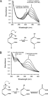 FIG. 2.