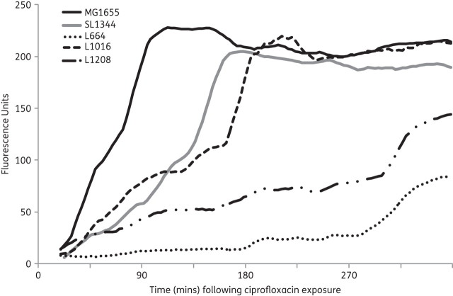 Figure 3.