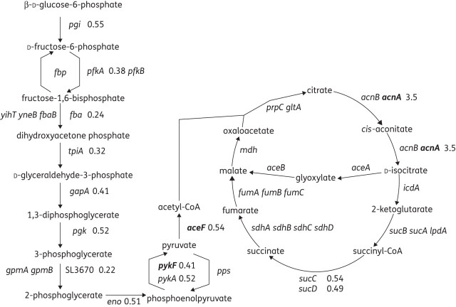 Figure 1.