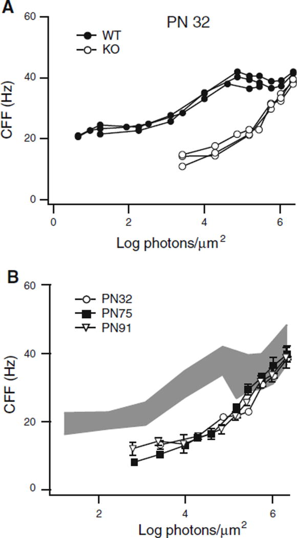 Fig. 7