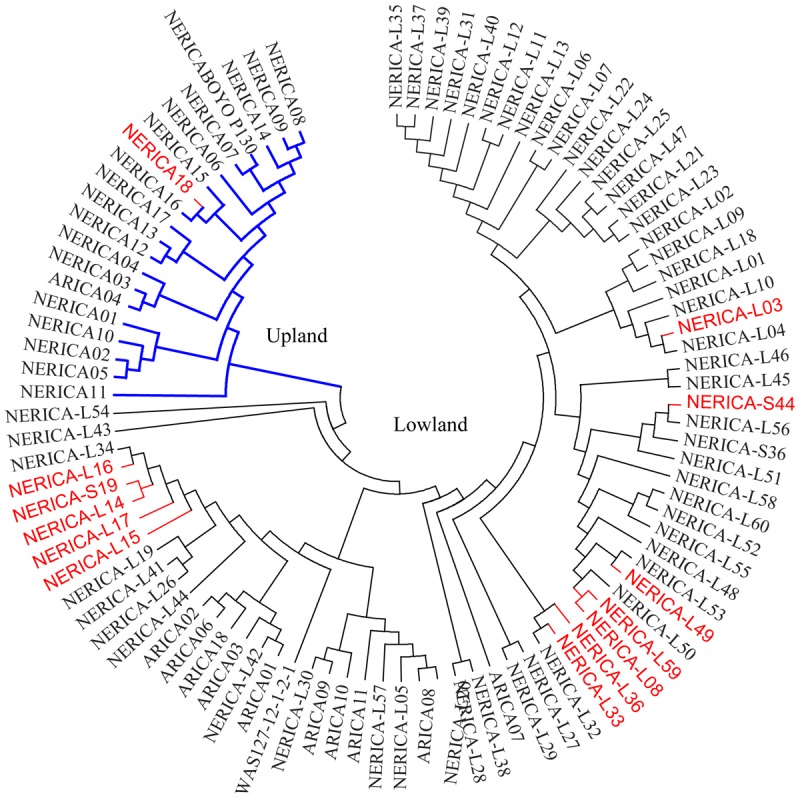 FIGURE 3