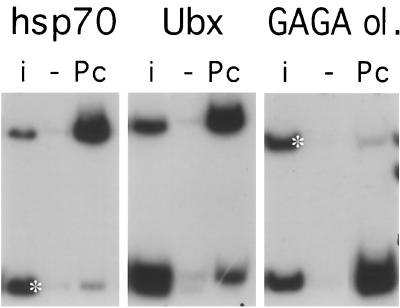 FIG. 6