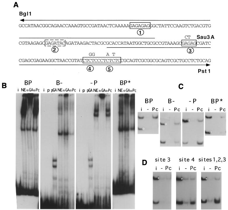 FIG. 5