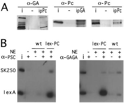 FIG. 7