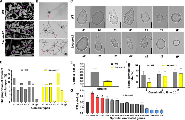 FIG 2