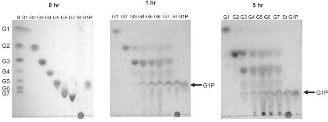 FIG. 7.